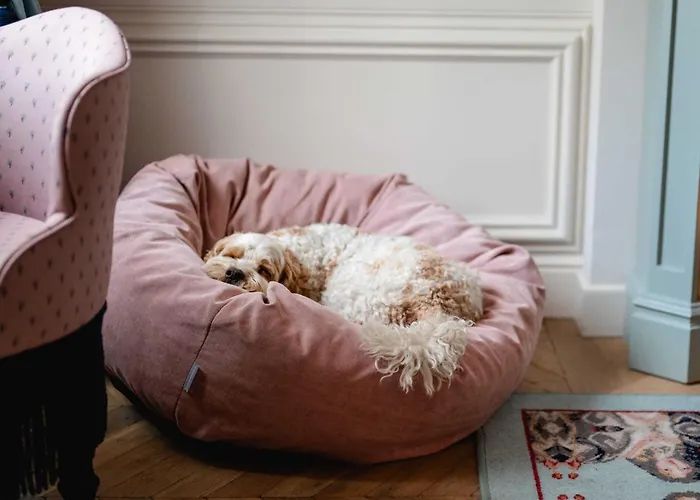 Leo GrandHotel Stelle